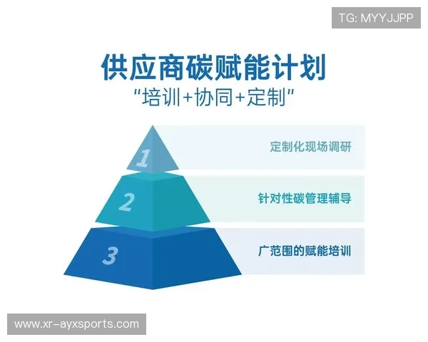 绿色供应链建设纳入行业标准，可回收材料应用比例持续提升